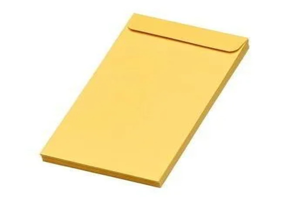 YELLOW ENVELOPE SMALL